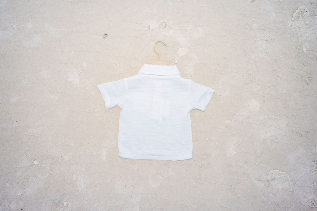 Coconut Cove Button Down
